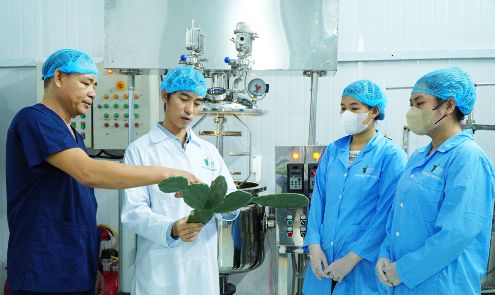 Nocas Most - nhà máy nghiên cứu và sản xuất mỹ phẩm thiên nhiên bằng công nghệ ép lạnh