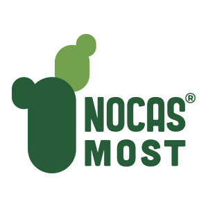 Xương Rồng Nopal 