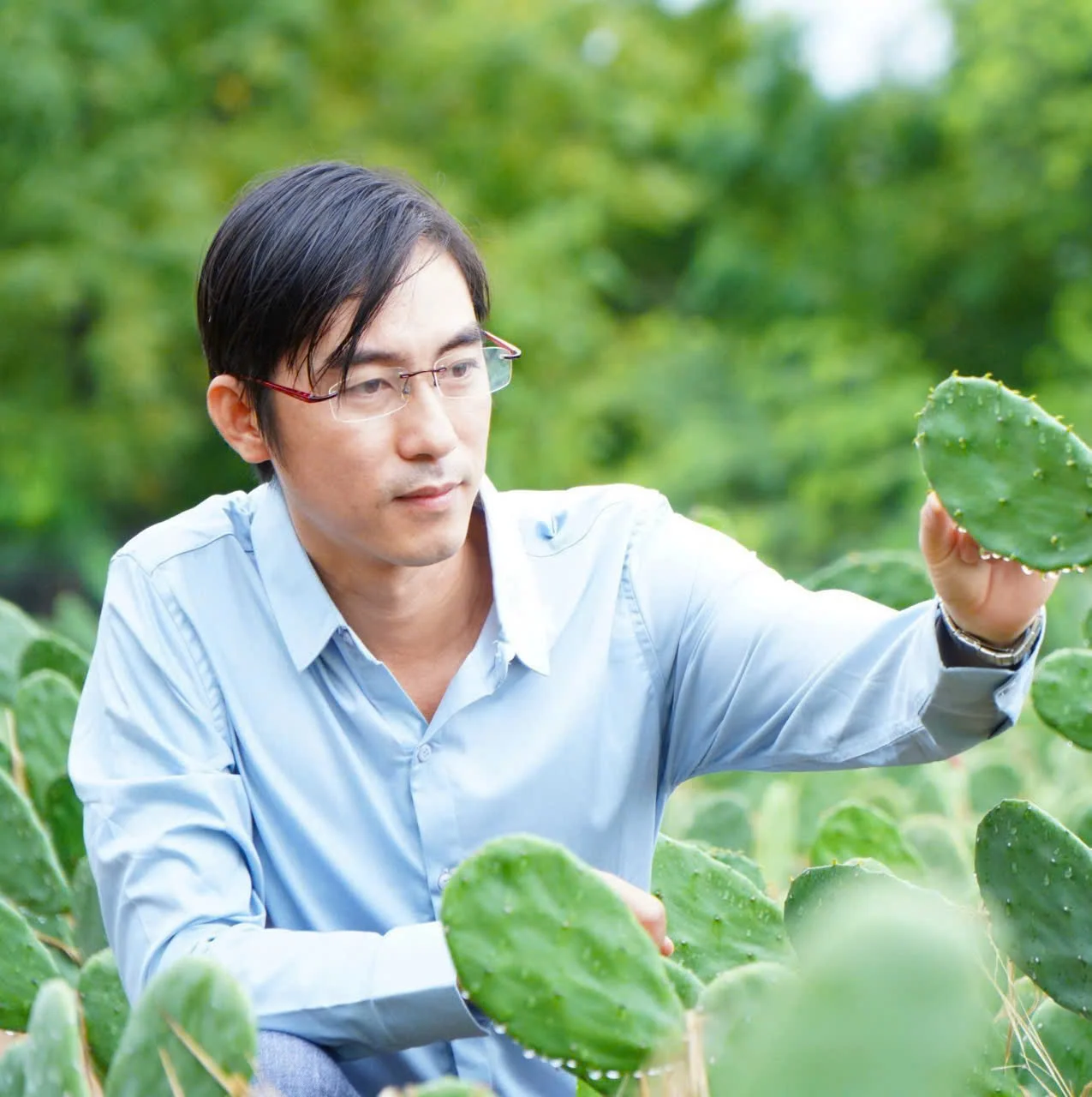 Ông Trần Văn Vũ, Tổng giám đốc Organic Nopal Việt Nam